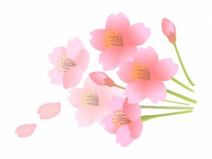 桜のイラスト